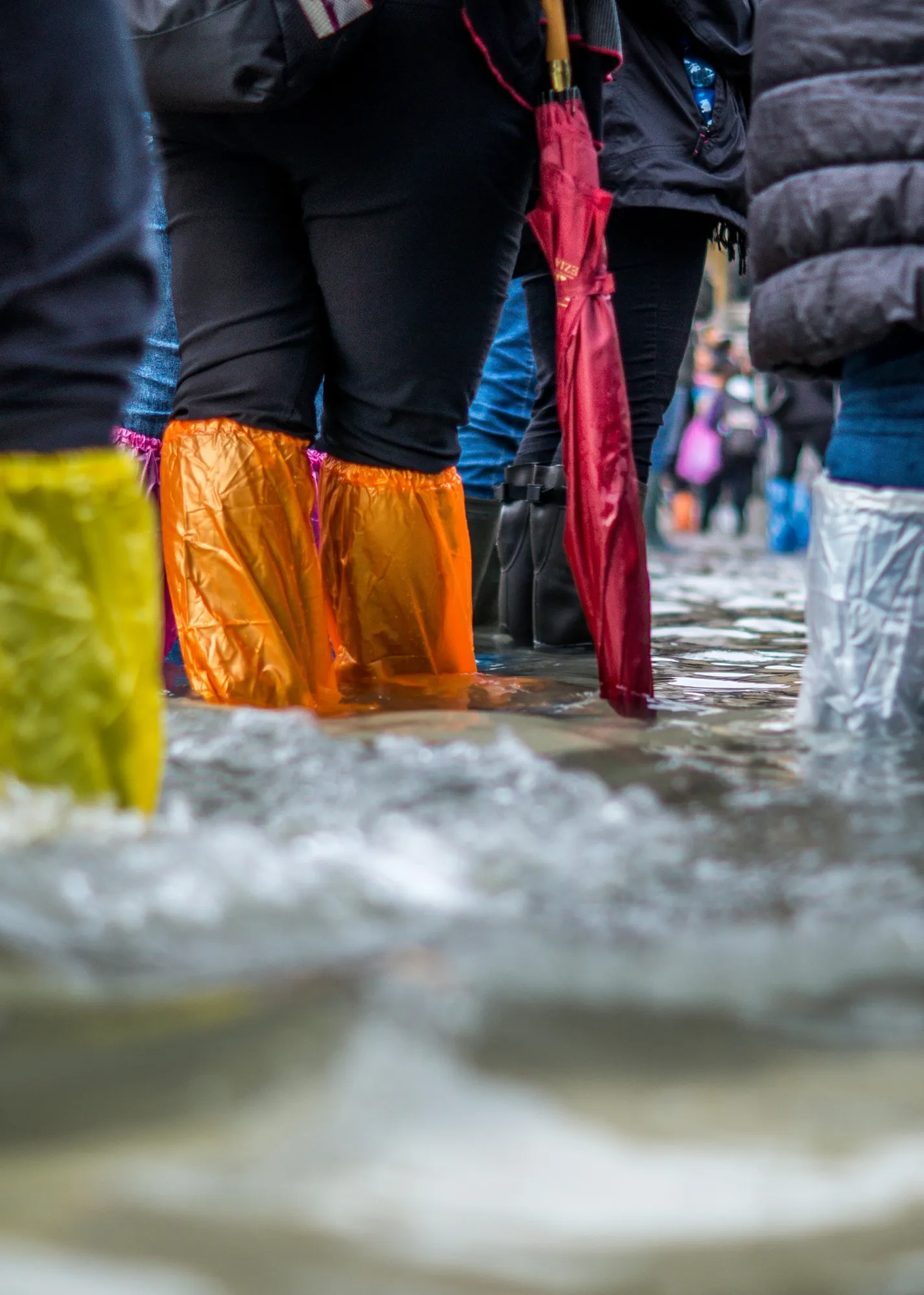 Foto: © jonathan ford, unsplash